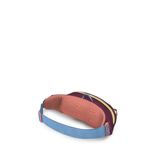 Osprey Daylite Waist Pack - Fanny Pack with Crossbody Shoulder Carry Option - Lightweight Hip Bag - color: Moody Burgundy