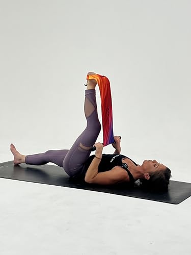 CastleFlexx Mobility and Full Body Strengthening Device