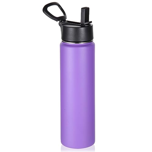 Volhoply 24oz Insulated Water Bottle with Straw Lid, Purple, 1-Pack - color: Purple