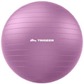 Trideer Yoga Ball for Exercise, Pregnancy, Exercise Ball, Pump Included - color: Bellflower Purple, size: L(23-26ines/58-65cm)