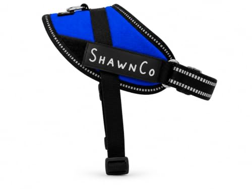 ShawnCo Essential Pro Dog Harness, No-Pull Pet Vest (Electric Blue, XS) - color: Electric Blue, size: XS