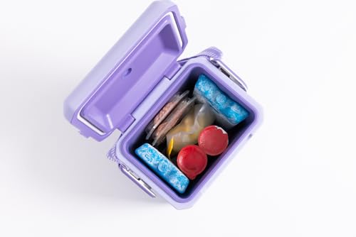 Igloo Maxcold Ice Block, 2 Pieces - color: 2PK Large