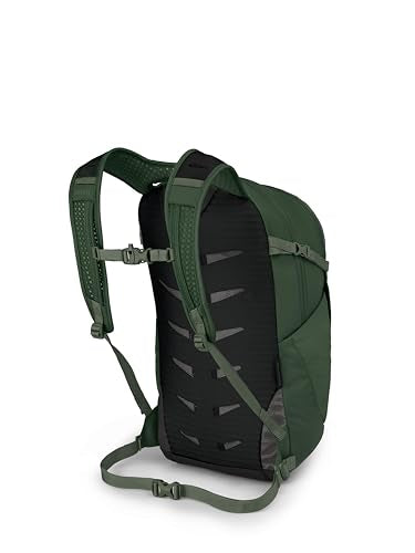 Osprey Daylite Plus Commuter Backpack, Green OS - color: Seaweed Green - Amazon Exclusive