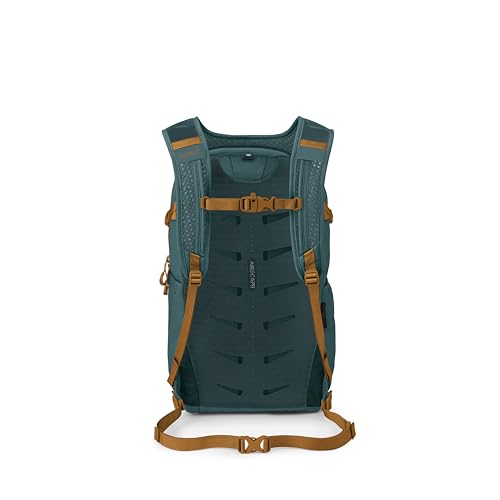 Osprey Daylite Plus Commuter Backpack, Blue OS - color: Torrent Blue