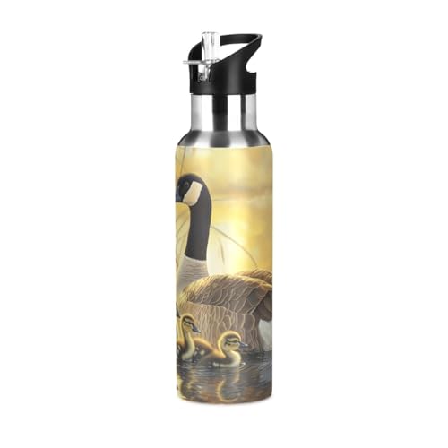 OTVEE Canada Geese and Goslings Water Bottle Sports Water Bottle Insulated Stainless Steel Hot Cold Water Mug with Straw Lid & Handle for Sports Gym 20 oz - color: Canada Geese and Goslings