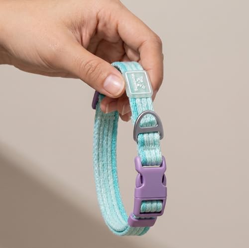 4-Piece Dog Collar and Leash Set with Water Bottle and Poop Bag Dispenser