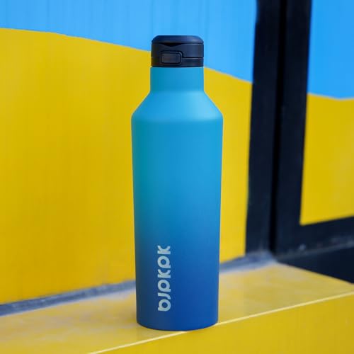 BJPKPK 25oz Insulated Thermal Water Bottle, Straw & Handle, Stainless Steel - color: Black, size: 25 Ounces