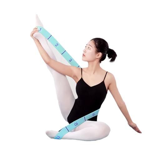 2-Pack 11-Loop Stretch Bands, Adjustable Stretch Strap for Yoga, Pilates, Dance, Ballet, Gymnastics, Flexibility, Leg Stretching, Physical Therapy & Stretching Equipment for Home Workout & Mobility - color: Gray+Blue