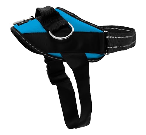 ShawnCo Essential Dog Harness, No-Pull Pet Vest (Oceanic Blue,XS) - color: Oceanic Blue, size: XS