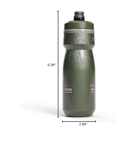 CamelBak Podium Chill Water Bottle 21oz, Deep Fern - color: Deep Fern