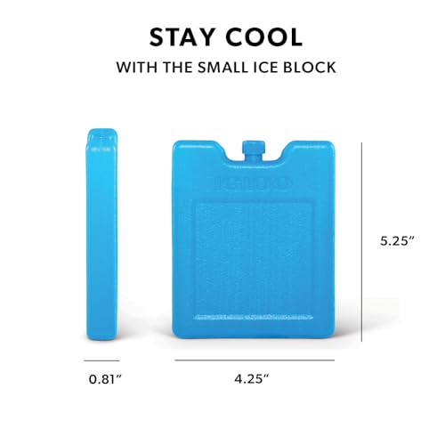 Igloo Maxcold Ice Block, 4 Pieces - color: 4pk small