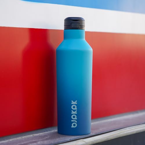 BJPKPK 17oz Insulated Thermal Water Bottle, Straw & Handle, Stainless Steel - color: Black, size: 17 Ounces