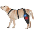 Dog Knee Brace for Back Leg - Adjustable Breathable Canine Leg Wrap with Hot & Cold Gel Packs - Supports Large & Medium Dogs with Arthritis, Hip Dysplasia, ACL Injuries, Left Hind Leg (L)