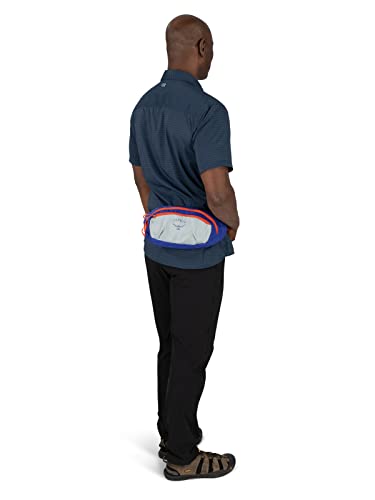 Osprey Daylite Waist Pack - Fanny Pack with Crossbody Shoulder Carry Option - Lightweight Hip Bag - color: Jetstream Blue