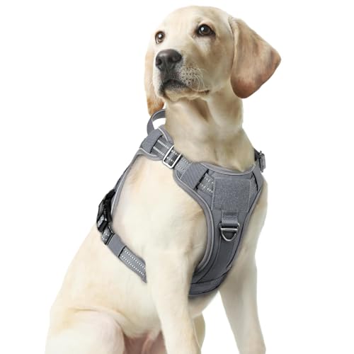 rabbitgoo Tactical Dog Harness Medium Sized, No Pull Service Pet Vest - color: Grey, size: M(chest:20.1"-33.9",neck:17.7"-22.3",back:7.5")