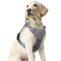 rabbitgoo Tactical Dog Harness Medium Sized, No Pull Service Pet Vest - color: Grey, size: M(chest:20.1"-33.9",neck:17.7"-22.3",back:7.5")