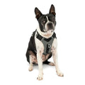 Kurgo Journey Air Dog Harness, Black, Small - color: Black, size: Small