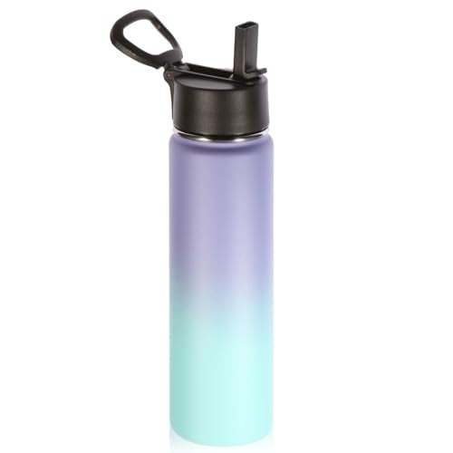 Volhoply 24oz Insulated Water Bottle with Straw Lid, Purple Blue, 1-Pack - color: Purple Blue