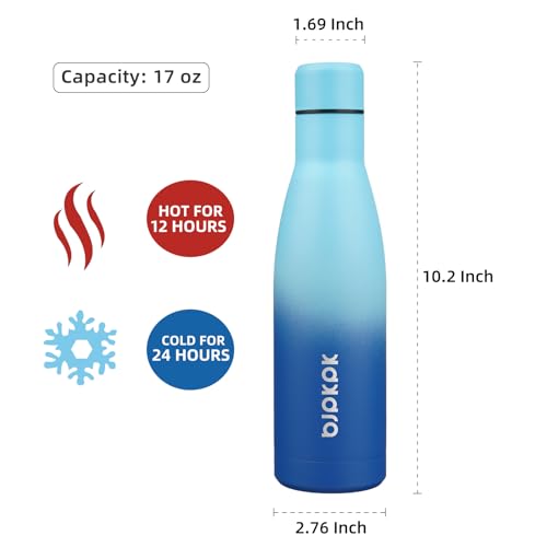 BJPKPK 17oz Skinny Insulated Water Bottle, Stainless Steel Flask - color: Sky, size: 17 Ounces