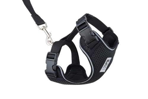 RC Pets Adventure Kitty Harness Includes Adjustable, Airmesh Fabric, 6' Leash and D-Ring Cat Walking Harness | Black, Medium - color: Black, size: Medium