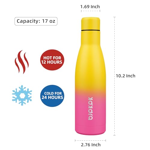 BJPKPK 17oz Skinny Insulated Water Bottle, Stainless Steel Flask - color: Rainbow, size: 17 Ounces