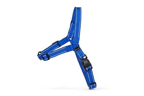 ShawnCo Dream Walk Pro No-Pull Dog Harness (Electric Blue, Small) - color: Electric Blue, size: Small