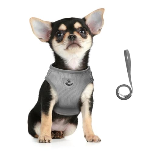FEimaX Dog Harness and Leash Set for Walking, Soft Mesh Adjustable Easy Control Lightweight Cat Vest Harnesses with Reflective Strips, Escape Proof Small Dogs Cats Vests (Grey, X-Small) - color: Grey, size: X-Small