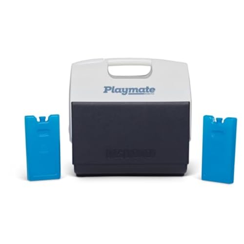 Igloo Maxcold Small Ice Block, 2-Pack, Blue - color: 2PK Small