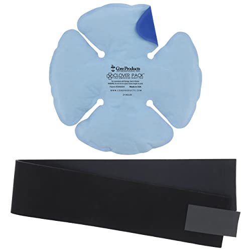 Reusable Hot & Cold Therapy Pack for Knee, Back, Shoulder & Ankle Pain (One Size) - size: Clover 11.5 x 11.5 Inch