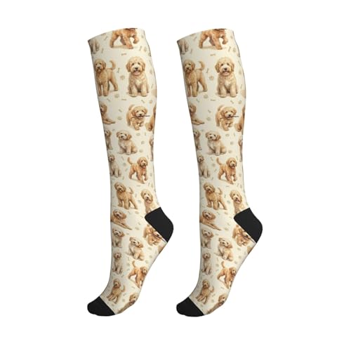 Cute Dog Compression Socks Women Men, Dog Lover Gift - color: Goldendoodle