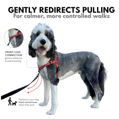 ShawnCo Dream Walk Pro No-Pull Dog Harness (Mustang Red, Small) - color: Mustang Red, size: Small