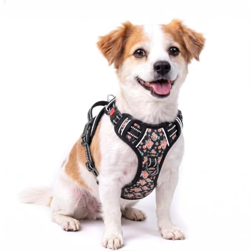 HEELE Dog Harness, Quick Release 3 Buckles, Easy On & Off, Flower Black, S - color: Flower Black, size: S (Pack of 1)