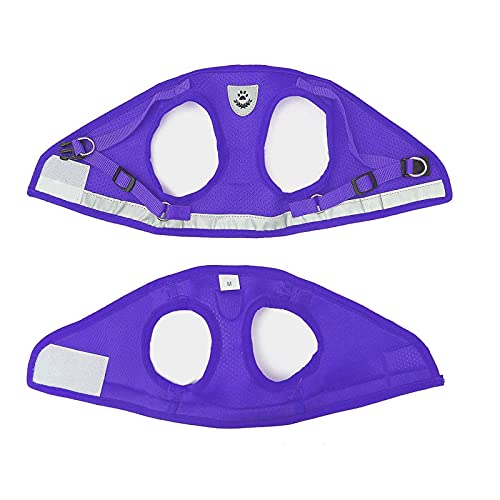 FEimaX Dog Harness and Leash Set for Walking, Soft Mesh Adjustable Easy Control Lightweight Cat Vest Harnesses with Reflective Strips, Escape Proof Small Dogs Cats Vests - color: Purple, size: X-Small