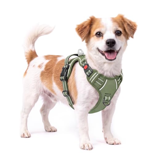 HEELE Dog Harness, Soft Padded, Front Clip Vest with Control Handle Green S - color: Lock Green, size: S (Pack of 1)