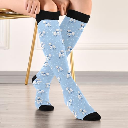 Snowflake Red Christmas Compression Sock for Women Men Funny Support Knee High Socks Running,Nurses,Travel - color: Poodle Dog