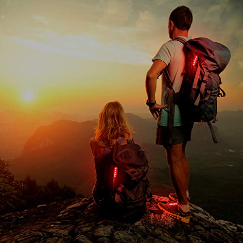 USB-C Rechargeable LED Safety Lights (2 Pack) - Clip on Strobe Running Lights for Runners, Joggers,Walkers,Kids,Dogs,Bike Tail Lights - High Visibility Accessories for Reflective Gear - color: USB-C Red