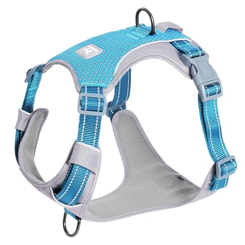 Huntboo No-Pull Dog Harness, Fully Reflective Vest with 2 Leash Clips, No-Choke, Adjustable, Breathable & Durable for Small, Medium & Large Dogs Walking, Training, Running (Teal Blue, L)