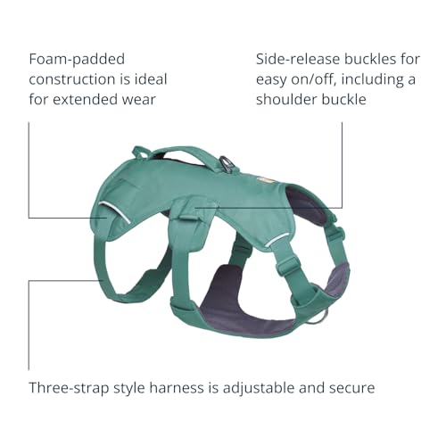 Ruffwear, Web Master Dog Body Harness, River Rock Green, X-Small - color: River Rock Green, size: X-Small