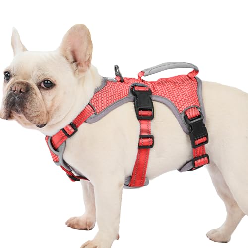 Huntboo Escape Proof Dog Harness, Dachshund Harness, Reflective Dog Harness with Handle, Durable,Adjustable Vest for Small Medium Large Dogs Walking, Training, and Running Gear (Red,M) - color: Red, size: Medium(Pack of 1)