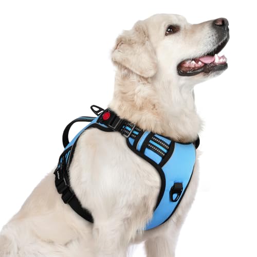 rabbitgoo Large Dog Harness, Easy Wear with 3 Buckles and Lift Handle - color: Light Blue, size: Large