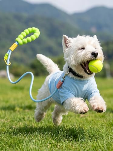 4-Piece Dog Collar and Leash Set with Water Bottle and Poop Bag Dispenser