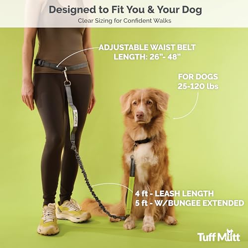 Tuff Mutt Waist Hands Free Dog Leash for Walking Running Hiking - color: gray/teal