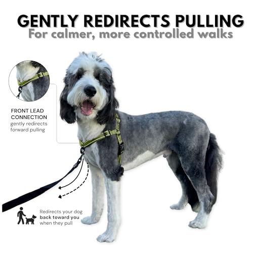 ShawnCo Dream Walk Pro No-Pull Dog Harness (Olive Green, Medium) - color: Olive Green, size: Medium
