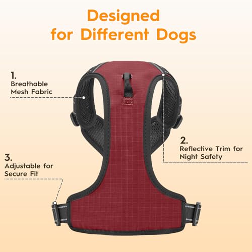 No Pull Dog Harness, No-Choke Soft Padded Reflective Dog Vest Harness with Front Clip & Top Handle, 2 Quick-Release Buckles, Adjustable for Small Medium Large Dogs - color: Neon Fuchsia, size: X-Small