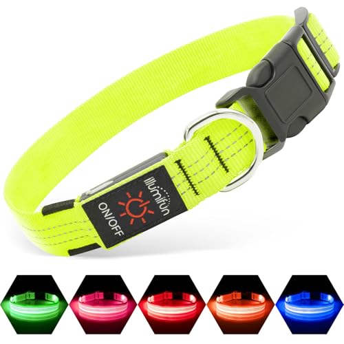 Illumifun Light Up Dog Collar - USB Rechargeable LED Dog Collar, Adjustable Lighted Pet Safety Collar for Night Walking (GreenⅢ, Small) - color: GreenⅢ, size: Small