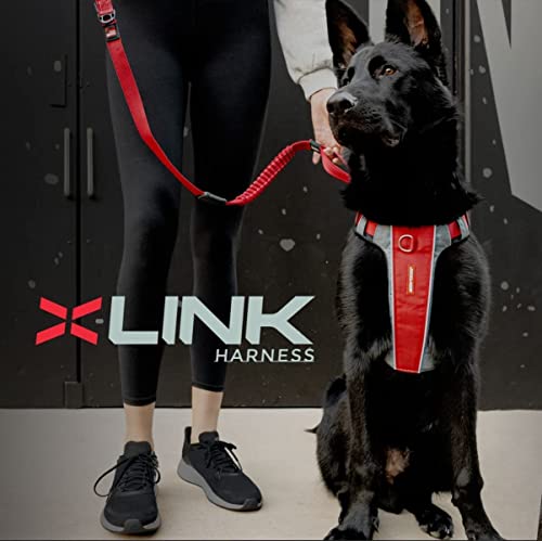 EzyDog X-Link Dog Harness, No Pull Design with Front D-Ring - Medium, Olive - color: Olive, size: Medium