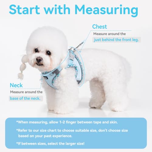 Petank Step in Dog Harness No Pull and Leash for Small Medium Dogs Cats. - color: Light Blue, size: XXXS