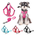 Dog Harness and Leash Set, Adjustable Triangle, Reflective Adjustable Puppy Vest, No Pull Soft Mesh Harness for Small, Medium Dogs, Cats (Fuchsia, M) - color: Fuchsia, size: M