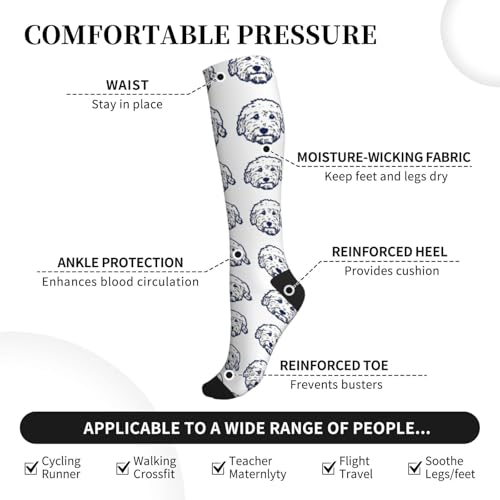 Compression Socks Knee High Support Stockings Women Men - color: Cute Goldendoodle