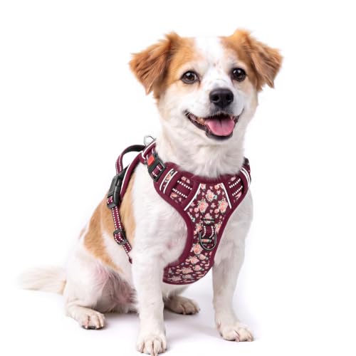 HEELE Dog Harness, Neck Release Buckles, Easy On & Off, Flower Burgundy S - color: Flower Burgundy, size: S (Pack of 1)
